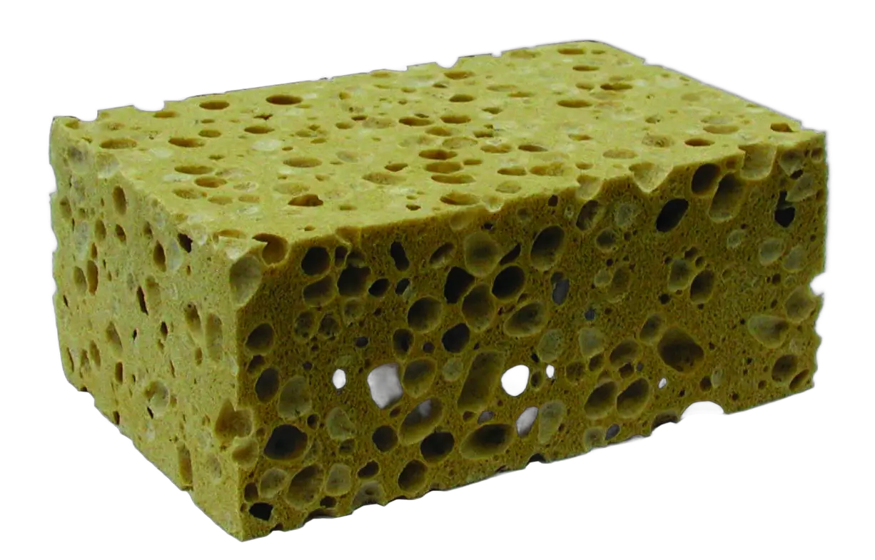 Éponge végétale
